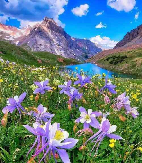 حمید سلمانی وقتی میبینمت